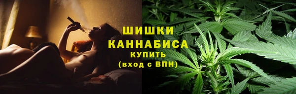 гашик Белоозёрский