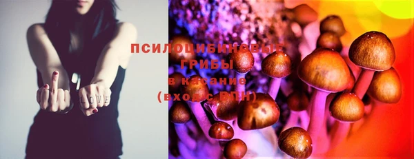 мяу мяу мука Беломорск
