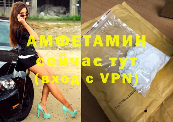 гидра Белокуриха