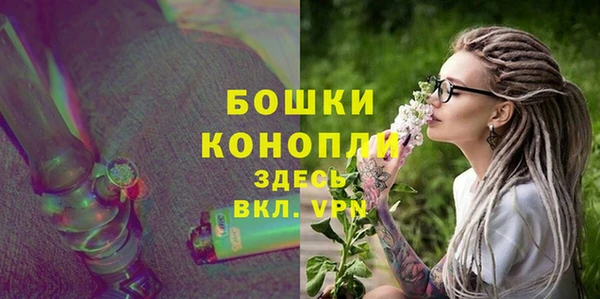 гидра Белокуриха