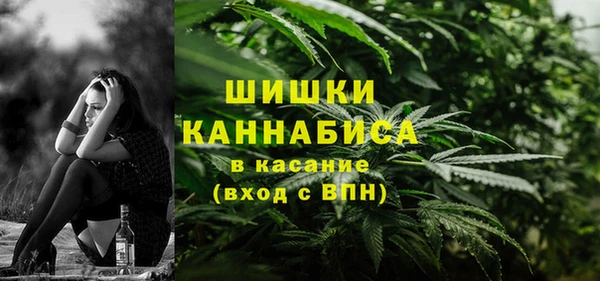 гашик Белоозёрский