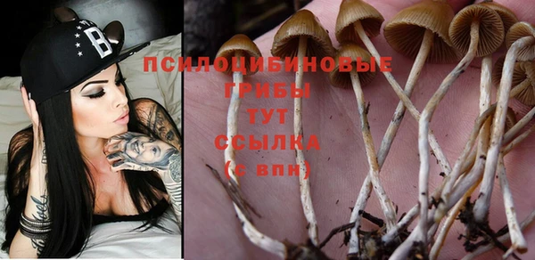 гидра Белокуриха