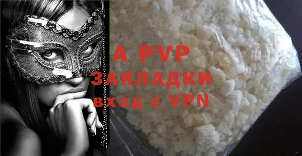 гидра Белокуриха